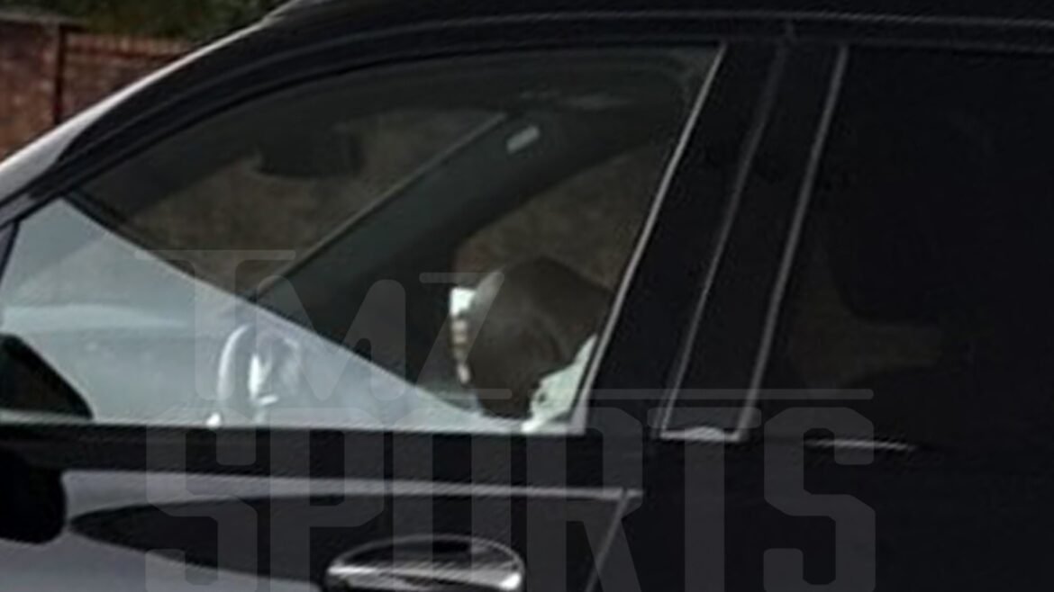 Adrian Peterson sedang tidur di belakang kemudi mobil yang bergerak sebelum ditangkap