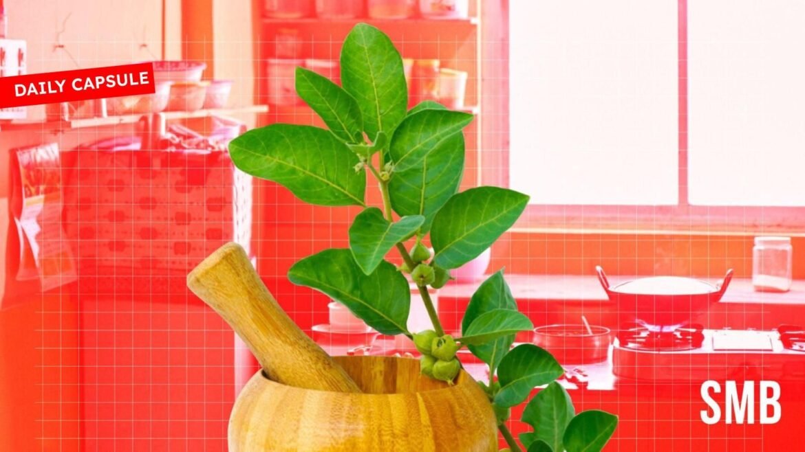 Kesejahteraan cara Ayurvedic; Mengambil Rajasthani Crafts Global