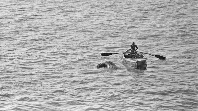 Dalam pertemuan Komite Eksekutif NMCG ke-67, Ditjen Misi Nasional