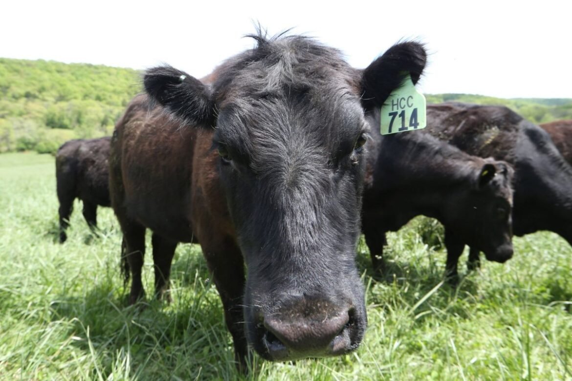 Konsumen akan membayar lebih sedikit karena Trump memotong tarif pertanian