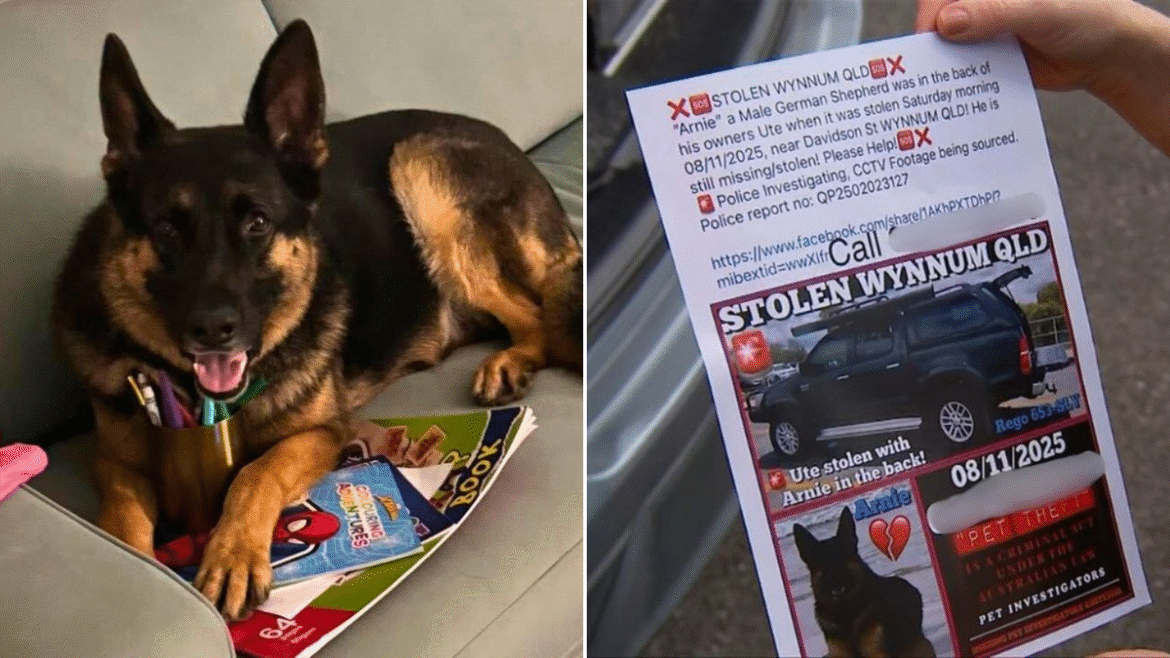 Mobil ditemukan dengan anjing mati di dalamnya tidak dicuri, polisi mengatakan: ‘Itu tidak terjadi’