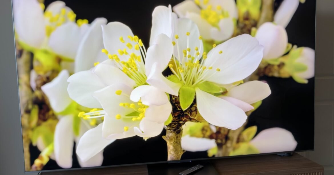 Ulasan TCL QM9K: Saya benar-benar tidak percaya betapa bagusnya TV ini