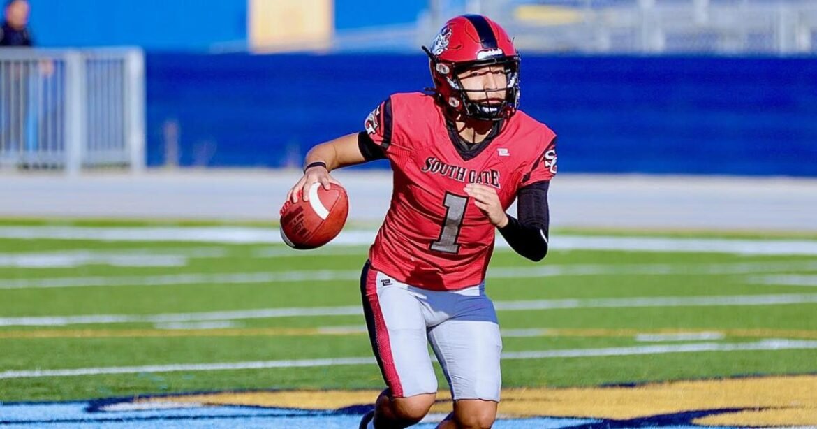 Diskusi persiapan: ikhtisar keajaiban lewatnya Salam Maria di Gerbang Selatan tanpa waktu lebih lanjut