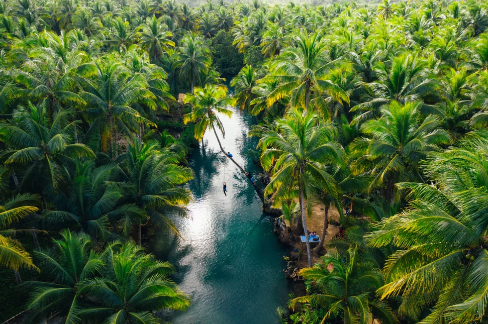 Menuju Filipina yang Tangguh terhadap Iklim: Memanfaatkan Teknologi dan Pembiayaan Karbon untuk Reforestasi